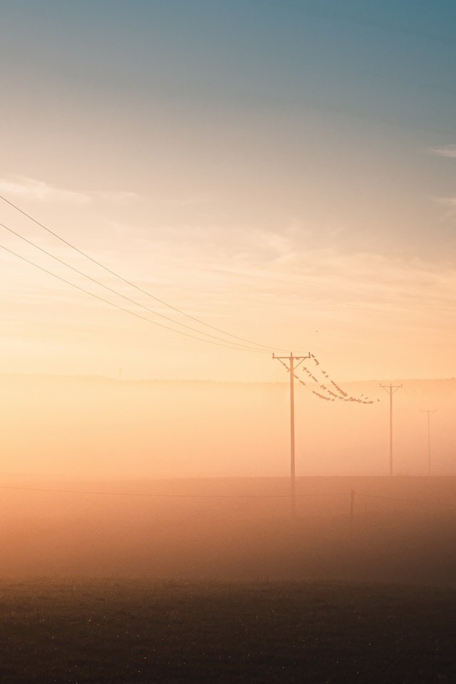 Обои туман, поле, лэп, fog, field, power lines разрешение 3840x2160 Загрузить