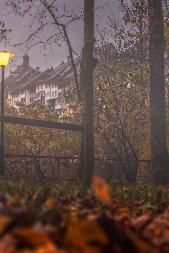 Обои деревья, туман, осень, швейцария, дома, фонарь, здания, опавшие листья, trees, fog, autumn, switzerland, home, lantern, building, fallen leaves разрешение 5084x3389 Загрузить