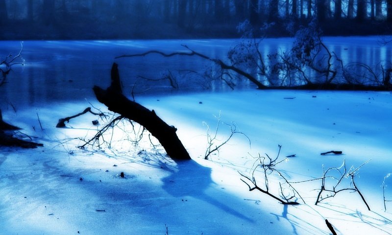 Обои свет, зима, ветки, мороз, иней, лёд, голубой, light, winter, branches, frost, ice, blue разрешение 1920x1200 Загрузить