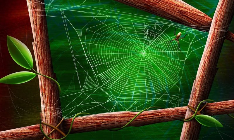 Обои зелёный, лист, паук, паутина, green, sheet, spider, web разрешение 1920x1200 Загрузить