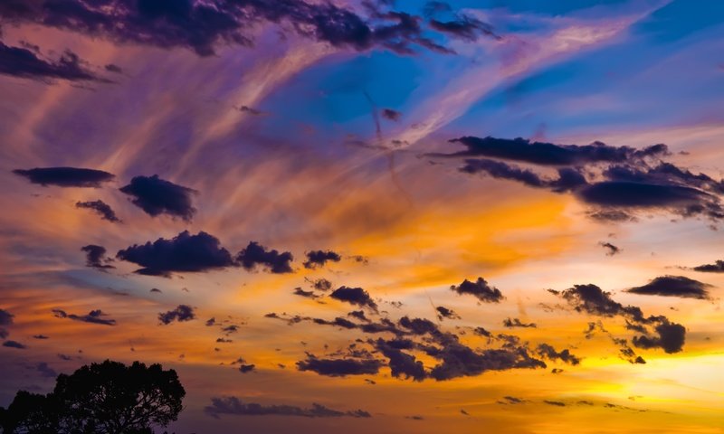 Обои небо, облака, дерево, закат, the sky, clouds, tree, sunset разрешение 4288x2848 Загрузить