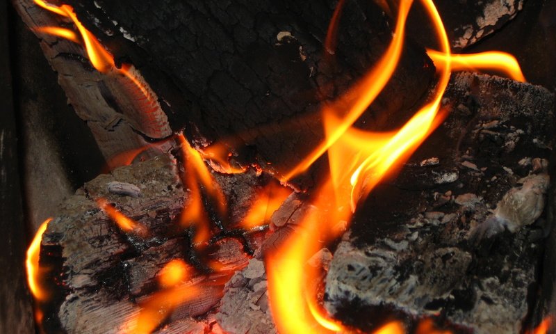 Обои огонь, костёр, дрова, fire, the fire, wood разрешение 2592x1944 Загрузить