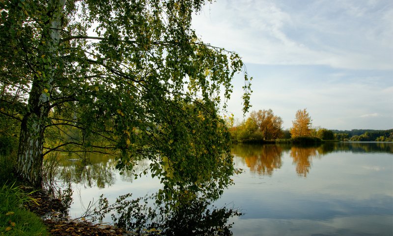 Обои озеро, лес, осень, береза, lake, forest, autumn, birch разрешение 1920x1200 Загрузить