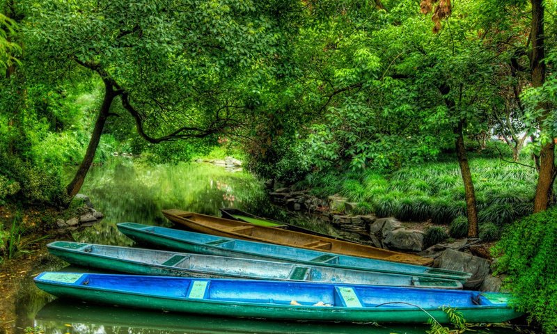 Обои река, лес, лодки, river, forest, boats разрешение 1920x1200 Загрузить