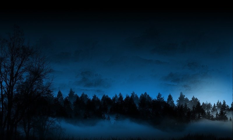 Обои ночь, лес, туман, night, forest, fog разрешение 1920x1200 Загрузить