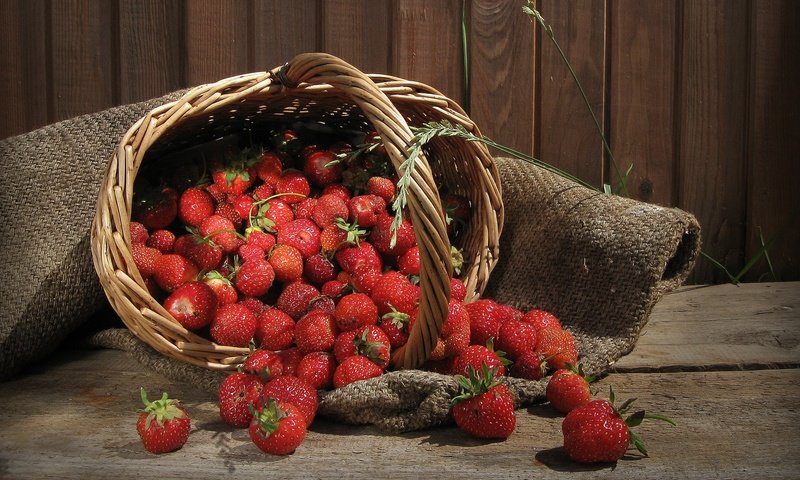 Обои клубника, ягоды, корзинка, мешковина, strawberry, berries, basket, burlap разрешение 1920x1200 Загрузить