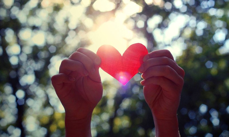Обои сердце, руки, день святого валентина, валентинка, heart, hands, valentine's day, valentine разрешение 1920x1080 Загрузить