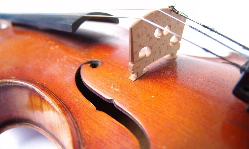 Обои желтый, скрипка, музыка, yellow, violin, music разрешение 1920x1200 Загрузить