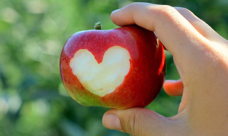 Обои рука, сердце, яблоко, hand, heart, apple разрешение 1920x1080 Загрузить