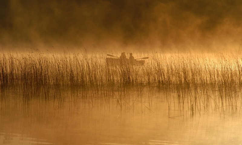 Обои река, людей, природа, рек, обои, пейзаж, туман, люди, лодка, lakes, камыш, reed, river, nature, rivers, wallpaper, landscape, fog, people, boat разрешение 1920x1200 Загрузить