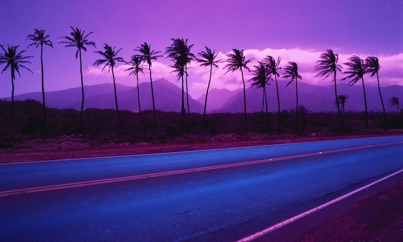 Обои дорога, горы, цвет, пальмы, road, mountains, color, palm trees разрешение 1920x1200 Загрузить
