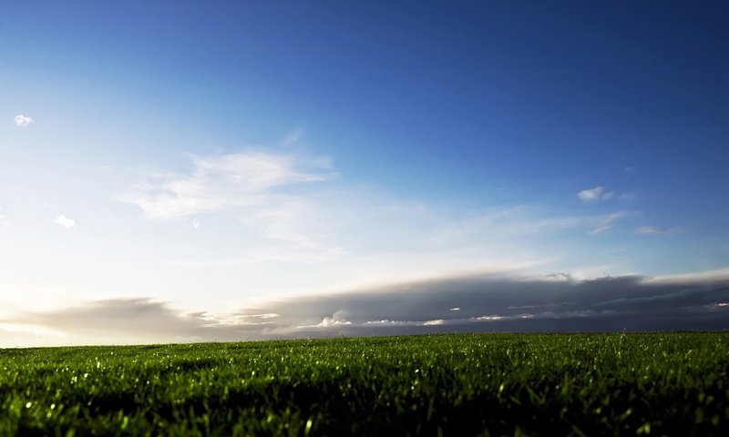 Обои небо, трава, облака, поле, the sky, grass, clouds, field разрешение 2560x1600 Загрузить