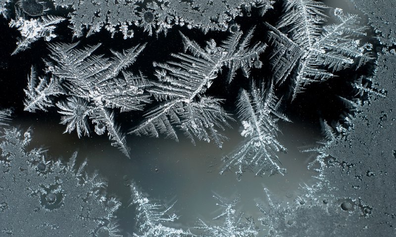 Обои мороз, иней, стекло, frost, glass разрешение 3872x2592 Загрузить