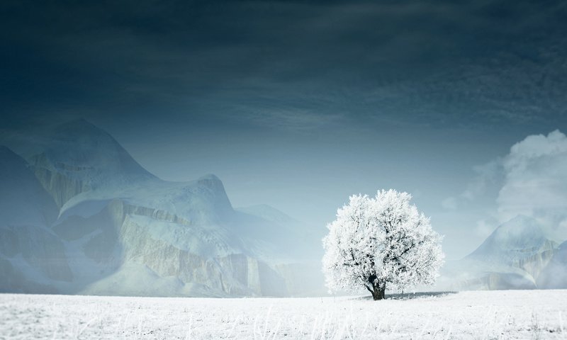 Обои горы, снег, дерево, зима, mountains, snow, tree, winter разрешение 1920x1080 Загрузить