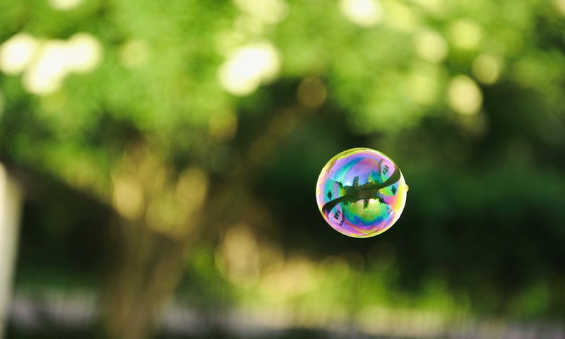 Обои зелень, отражение, мыльные пузыри, greens, reflection, bubbles разрешение 1920x1200 Загрузить
