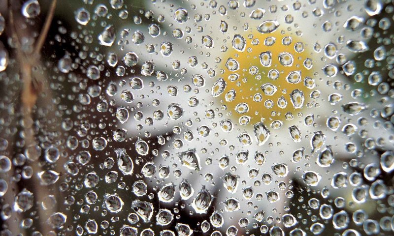 Обои макро, отражение, цветок, капли, лепестки, ромашка, стекло, капли дождя, macro, reflection, flower, drops, petals, daisy, glass, raindrops разрешение 1920x1080 Загрузить