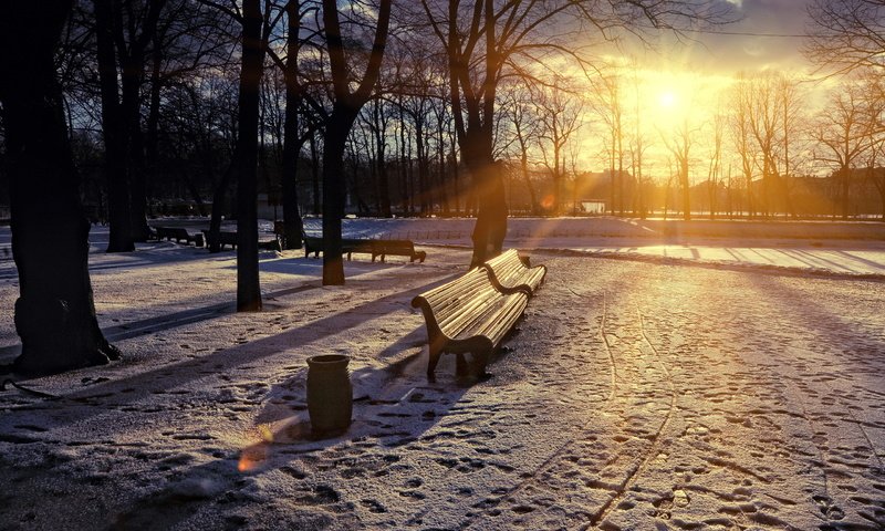 Обои gorod park vesna zakat skamya, park vesna gorod zakat skamya разрешение 2560x1600 Загрузить