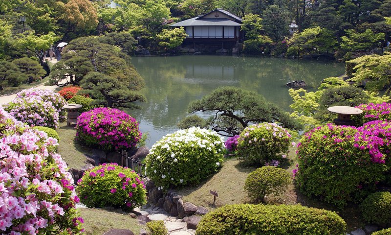 Обои цветы, домик, cvety, yaponskij sad, domik, японский сад, flowers, house, japanese garden разрешение 3200x2130 Загрузить