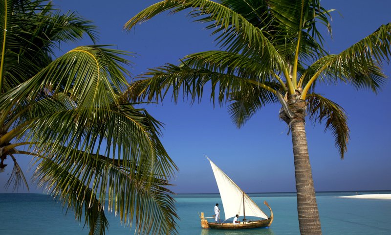 Обои пляж, лодка, пальмы, тропики, мальдивы, beach, boat, palm trees, tropics, the maldives разрешение 2500x1667 Загрузить