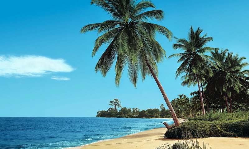 Обои пляж, тропики, beach, tropics разрешение 3000x2308 Загрузить