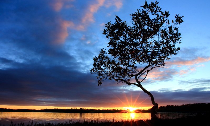 Обои озеро, закат, lake, sunset разрешение 4641x3094 Загрузить