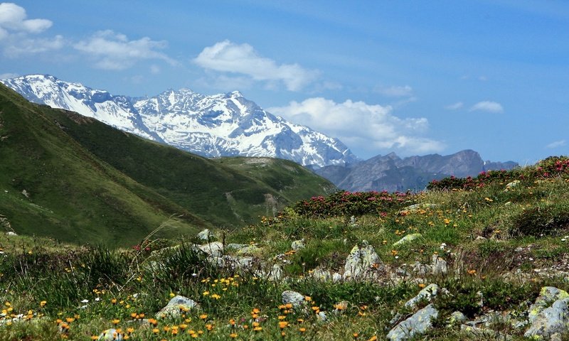 Обои италия, перевал пенсер-йох, italy, pass spencer-joch разрешение 2560x1440 Загрузить