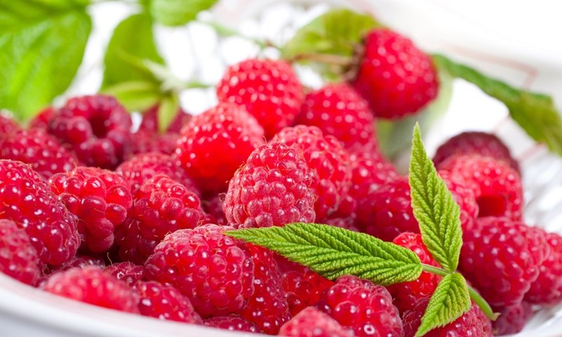 Обои листья, малина, ягоды, тарелка, leaves, raspberry, berries, plate разрешение 2560x1600 Загрузить
