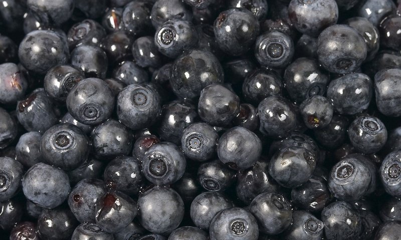 Обои макро, ягода, черника, macro, berry, blueberries разрешение 1920x1080 Загрузить