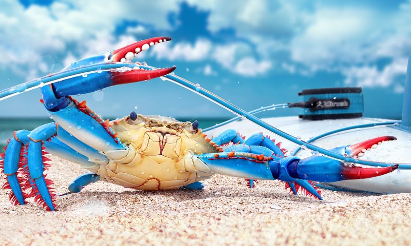 Обои краб, 3д, blue crab, цифровое искусство, crab, 3d, digital art разрешение 1920x1080 Загрузить