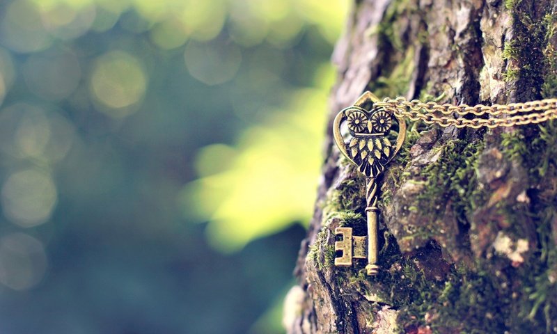 Обои сова, дерево, ключ, металлический, цепочка, подвеска, owl, tree, key, metal, chain, suspension разрешение 1920x1200 Загрузить