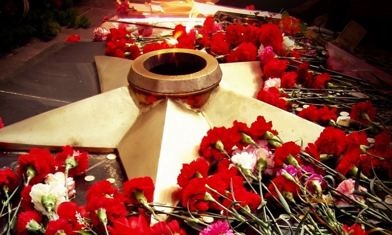 Обои цветы, звезда, день победы, 9 мая, вечный огонь, flowers, star, victory day, may 9, eternal flame разрешение 1920x1440 Загрузить