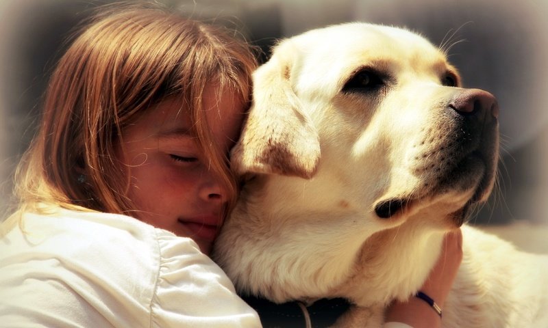 Обои настроение, собака, девочка, друзья, лабрадор, mood, dog, girl, friends, labrador разрешение 2560x1600 Загрузить