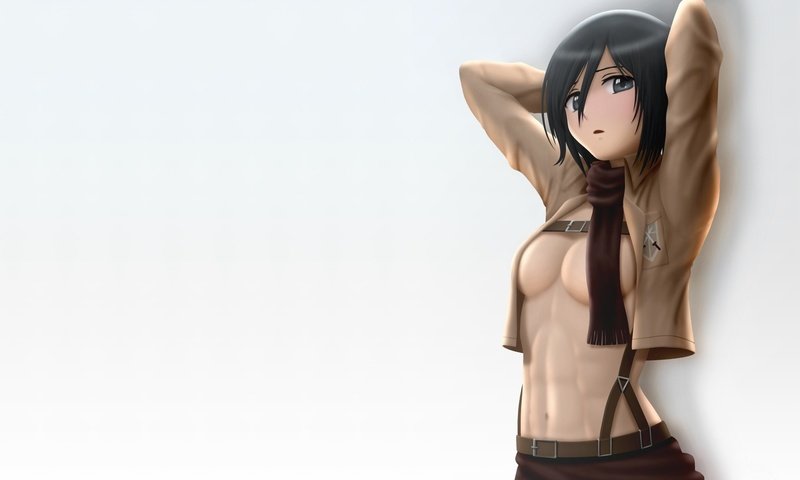 Обои арт, девушка, взгляд, грудь, удивление, шарф, mikasa ackerman, art, girl, look, chest, surprise, scarf разрешение 1920x1200 Загрузить