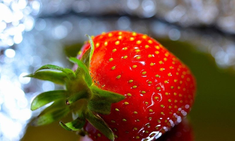 Обои макро, ягода, красная, клубника, macro, berry, red, strawberry разрешение 1920x1536 Загрузить