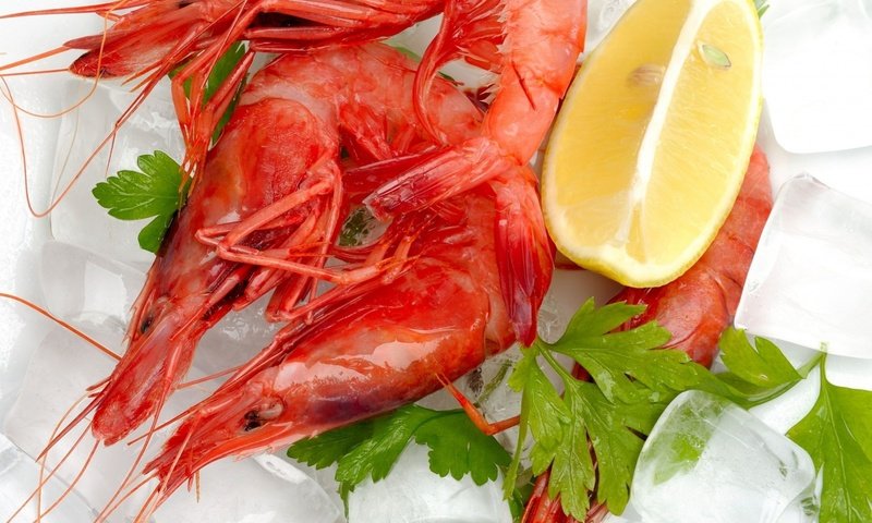 Обои лёд, лимон, морепродукты, креветки, кинза, ice, lemon, seafood, shrimp, cilantro разрешение 1920x1612 Загрузить