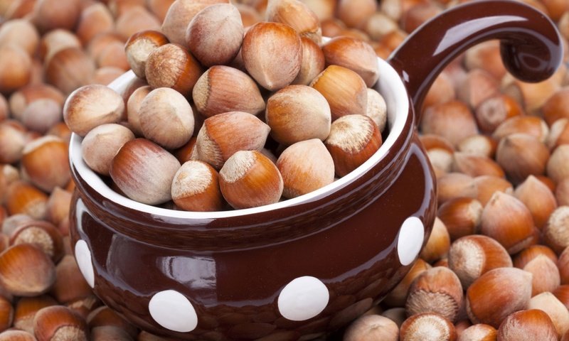 Обои орехи, фундук, лесной орех, ковшик, nuts, hazelnuts, hazelnut, scoop разрешение 1920x1275 Загрузить