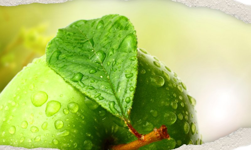 Обои вода, макро, капли, фрукты, яблоко, листик, зеленое, water, macro, drops, fruit, apple, leaf, green разрешение 6912x5552 Загрузить