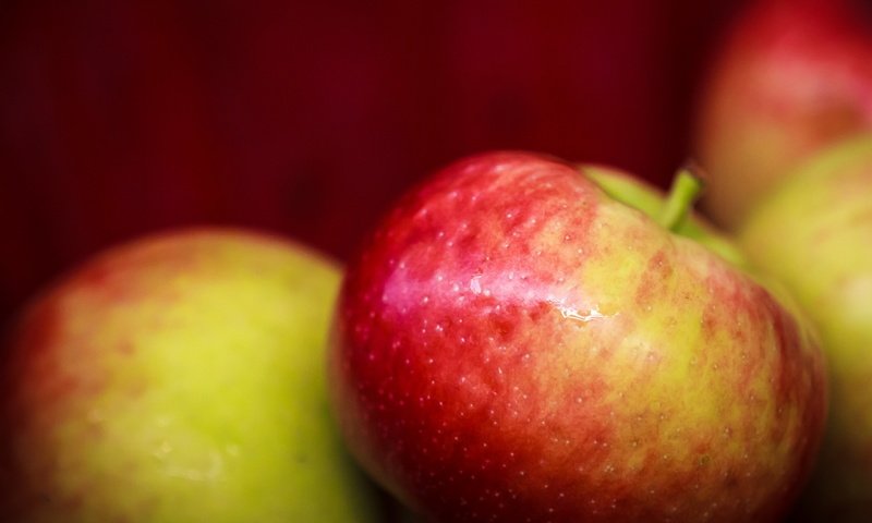 Обои макро, фон, фрукты, яблоки, яблок, macro, background, fruit, apples разрешение 2560x1600 Загрузить