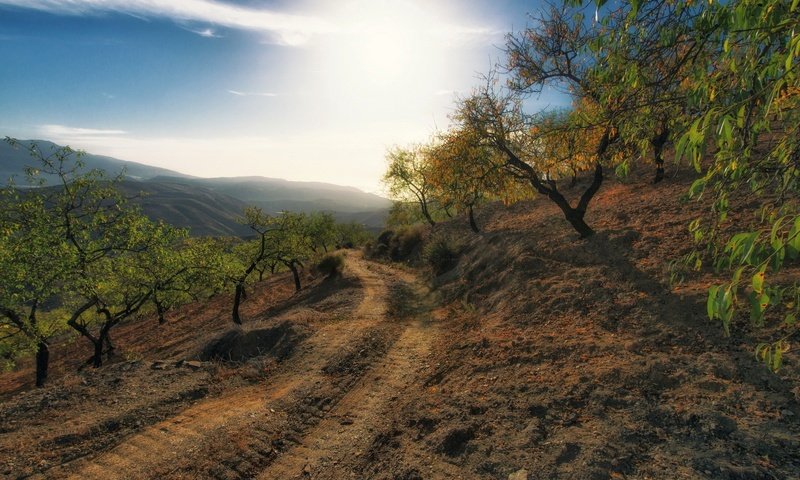 Обои свет, дорога, горы, light, road, mountains разрешение 1920x1200 Загрузить