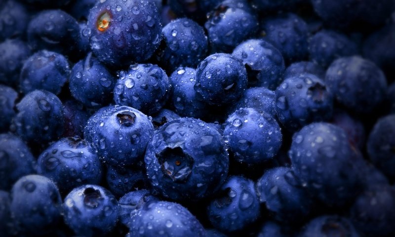 Обои роса, ягода, черника, rosa, berry, blueberries разрешение 3840x2160 Загрузить