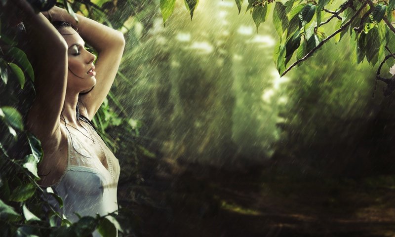 Обои лес, девушка, модель, дождь, мокрая, forest, girl, model, rain, wet разрешение 2880x1888 Загрузить