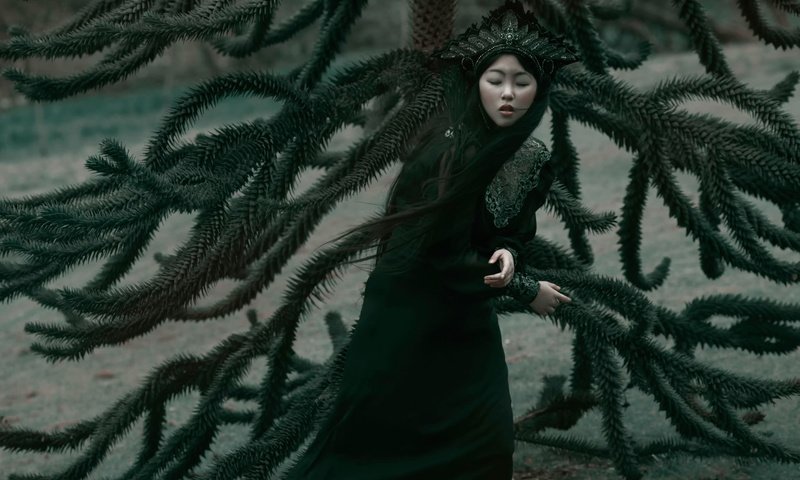 Обои арт, девушка, ветки, грусть, фантазия, agnieszka lorek, lilian liu, art, girl, branches, sadness, fantasy разрешение 2048x1377 Загрузить