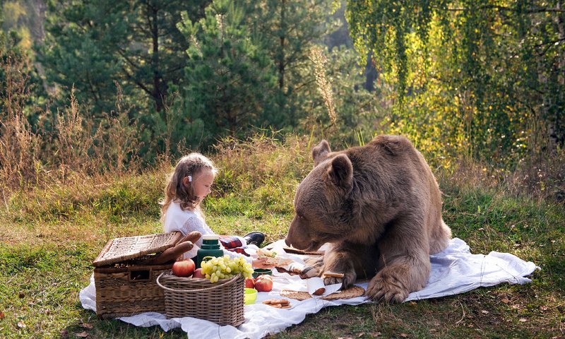 Обои природа, медведь, девочка, пикник, маша и медведь, nature, bear, girl, picnic, masha and the bear разрешение 4252x2835 Загрузить