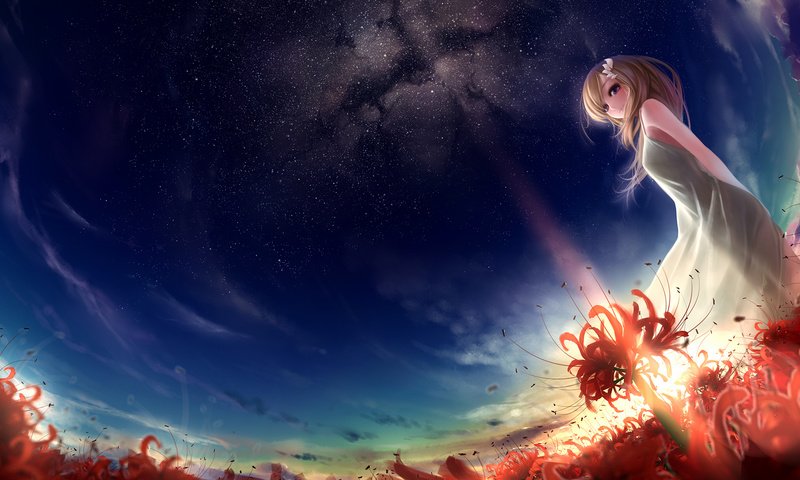 Обои небо, цветы, девушка, звезды, аниме,  цветы, red stars, the sky, flowers, girl, stars, anime разрешение 1920x1080 Загрузить