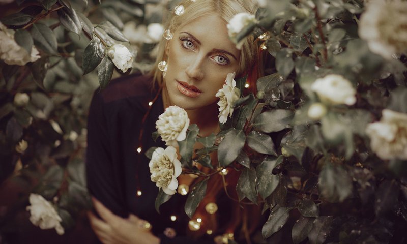 Обои глаза, цветы, девушка, фон, лето, волосы, лицо, eyes, flowers, girl, background, summer, hair, face разрешение 2048x1365 Загрузить