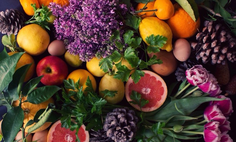 Обои фрукты, лимоны, яблоки, грейпфрут, апельсины, петрушка, тюльпаны, шишки, сирень, мандарины, роскошь, fruit, lemons, apples, grapefruit, oranges, parsley, tulips, bumps, lilac, tangerines, luxury разрешение 2048x1309 Загрузить