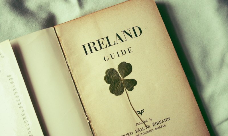 Обои клевер, листок, лист, книга, ирландия, clover, leaf, sheet, book, ireland разрешение 3888x2592 Загрузить