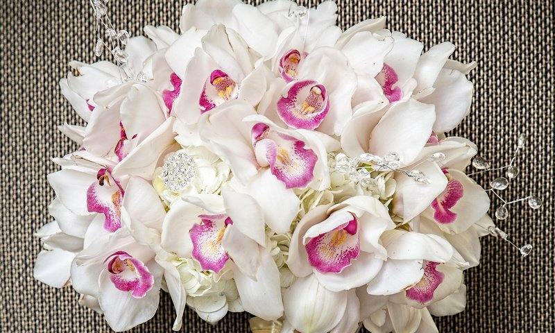 Обои букет, белые, орхидеи, орхидею, букеты, bouquet, white, orchids, orchid, bouquets разрешение 4000x3000 Загрузить