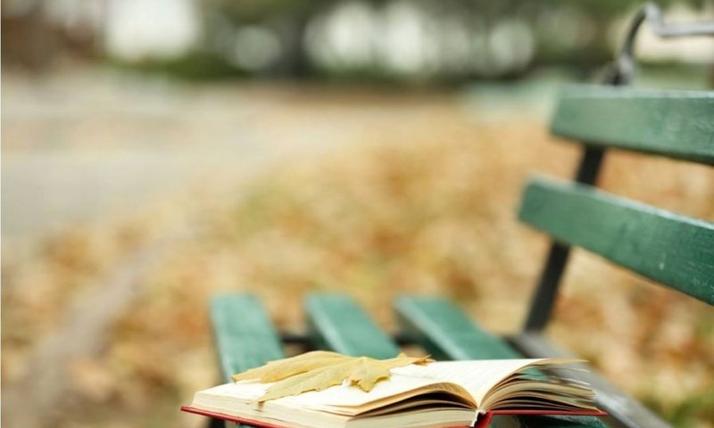Обои осень, лист, скамейка, листик, книга, осен, книгa, autumn, sheet, bench, leaf, book разрешение 2560x1600 Загрузить