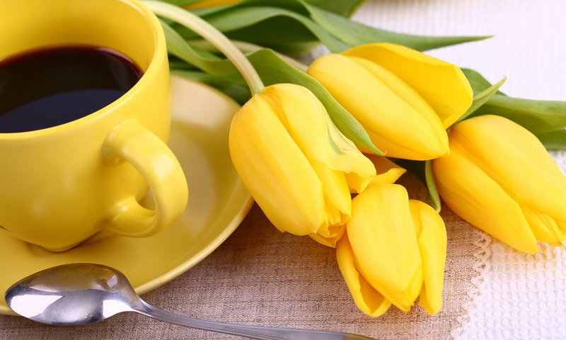 Обои цветы, кофе, тюльпаны, чашка, завтрак, желтые, flowers, coffee, tulips, cup, breakfast, yellow разрешение 2880x1920 Загрузить